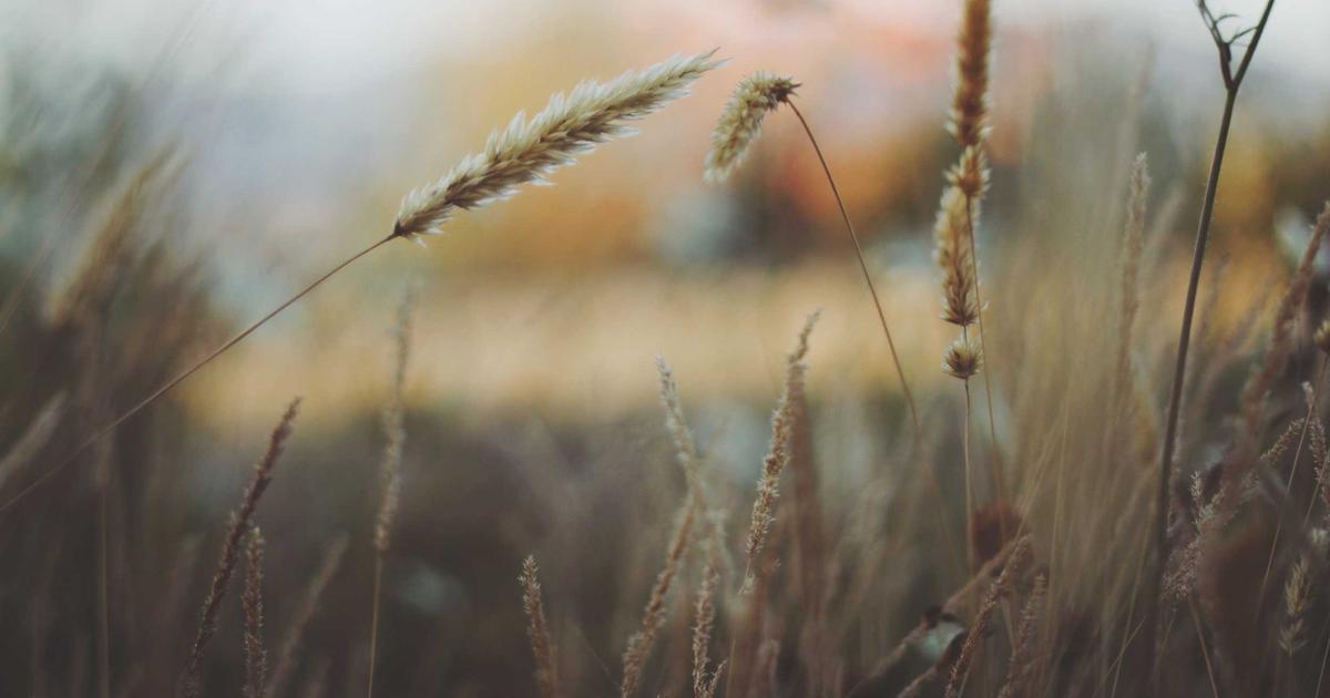 AI活用 中小企業 経営者