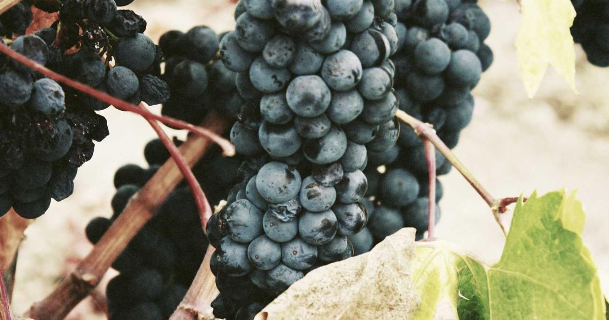 AI活用 中小企業 経営者