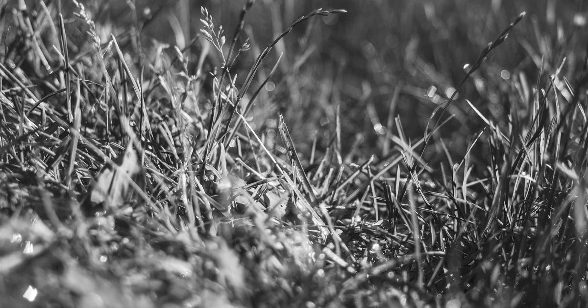 AI活用 中小企業 経営者