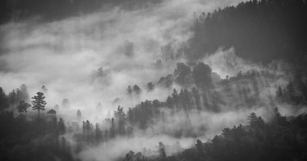 AI活用 中小企業 AI研修