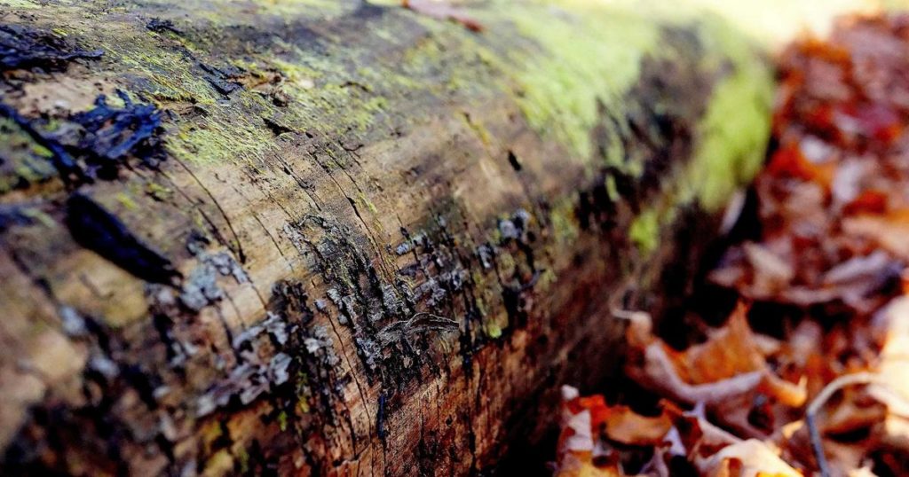 AI活用 中小企業 経営者向けAI研修 導入コスト ROI